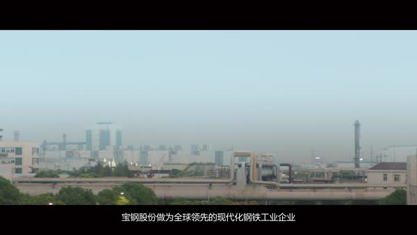 上(shàng)海(hǎi)寶鋼